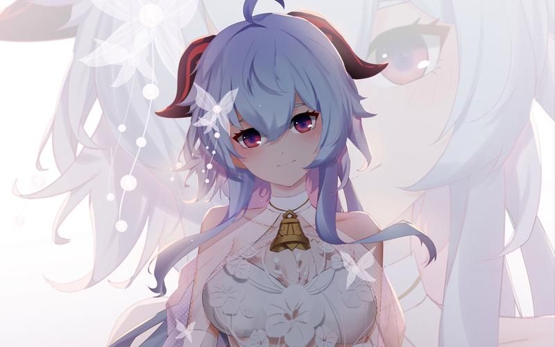 少女卷轴最新版本常见问题解决方法大全