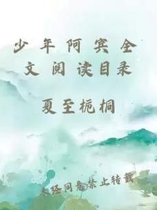 少年阿宾小说txt下载 免费获取全本资源