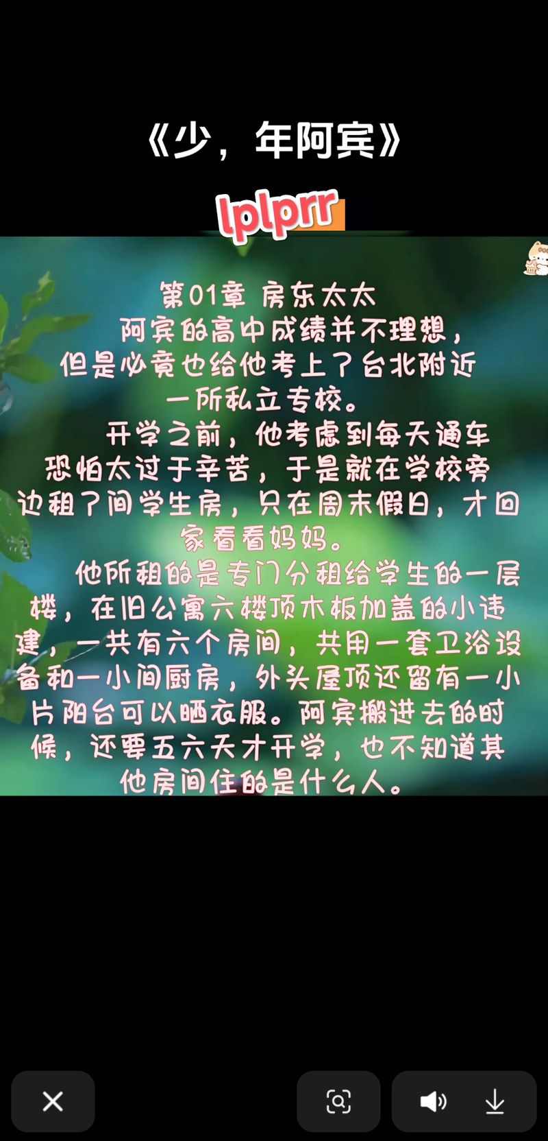 少年阿宾小说txt下载 免费获取全本资源