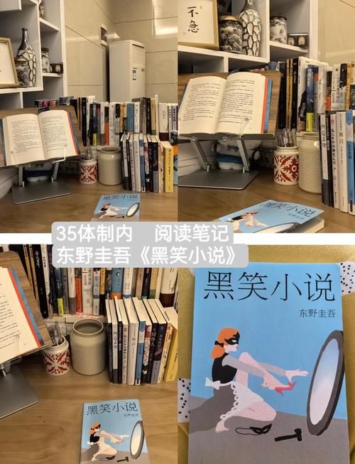 少年阿宾小说最新版本结局揭秘和读后感