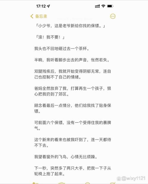 少年阿宾最新版本常见问题解答帮你快速解决