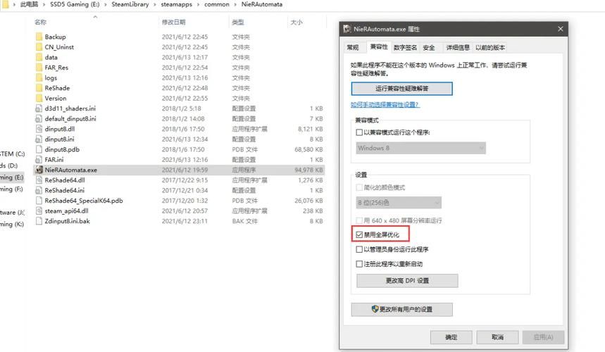 尼尔机械纪元2K剪辑精品游戏攻略画面设置优化教程 尼尔机械纪元2K剪辑精品游戏攻略画面设置优化教程