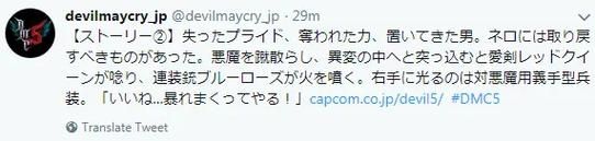 尼禄的海滨一日游游戏下载常见问题解答