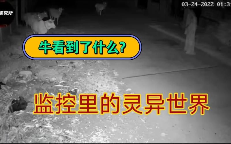 屋内有鬼版本大全 真实灵异事件合集你敢看吗