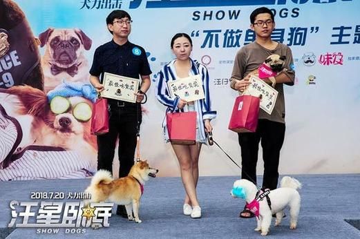 屌丝猎艳记2安卓破解版 单身狗脱单神器来了