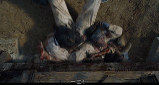 屍在哪下载完整版资源 高清无删减在线观看