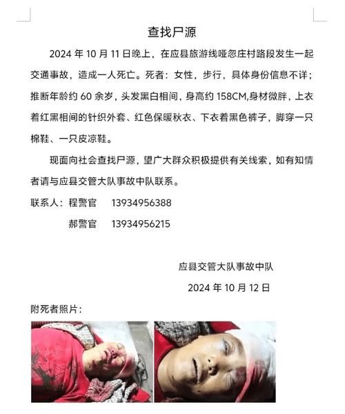 屍官方网站资源下载 高清素材一键获取