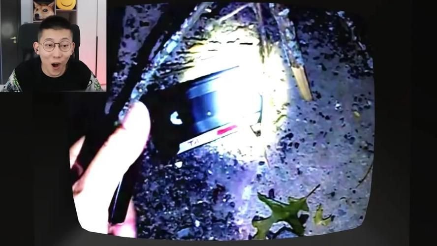 屍最新版本隐藏彩蛋揭秘 这些细节你发现了吗
