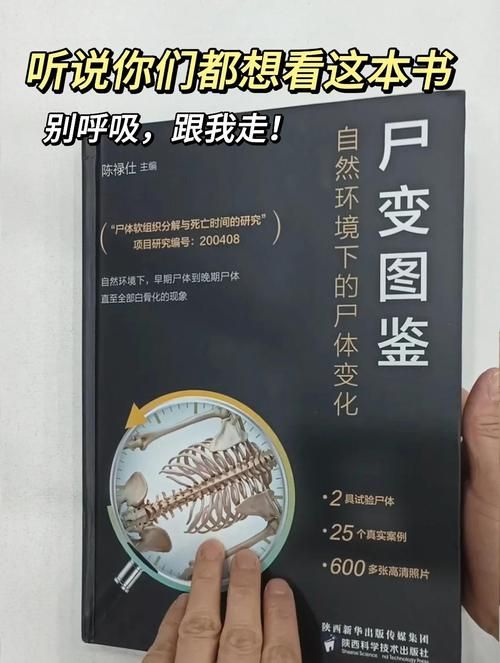 屍版本大全深度盘点 史上最全屍变资料汇总