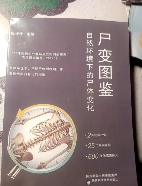 屍版本大全深度盘点 史上最全屍变资料汇总