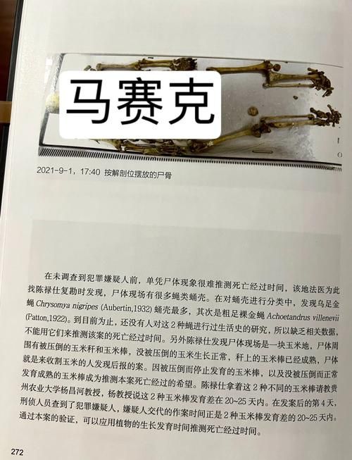屍版本大全深度盘点 史上最全屍变资料汇总