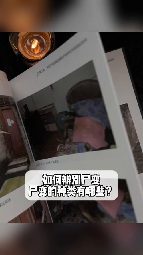 屍版本大全深度盘点 史上最全屍变资料汇总