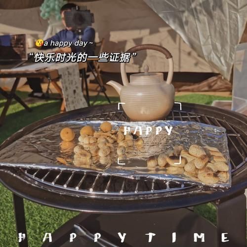 岛主日记安卓汉化版攻略 中文版玩法技巧大全