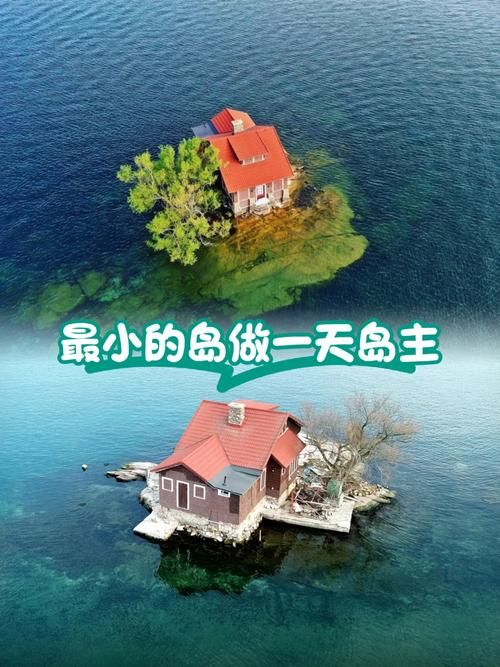 岛主日记最新动态 看看岛主今天做了什么