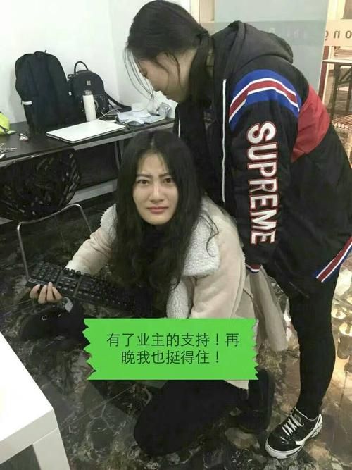 岛主日记最新动态 看看岛主今天做了什么