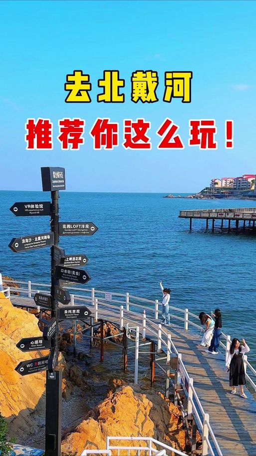 岛主日记最新动态 看看岛主今天做了什么