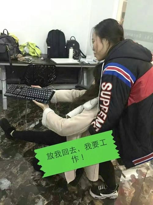 岛主日记最新动态 看看岛主今天做了什么