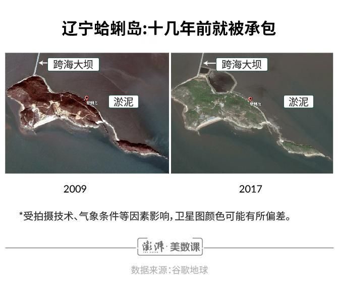 岛主日记最新版本更新了什么 一篇文章全知道