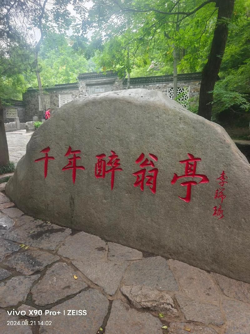 峰回路转在哪下载 最新官方下载地址分享