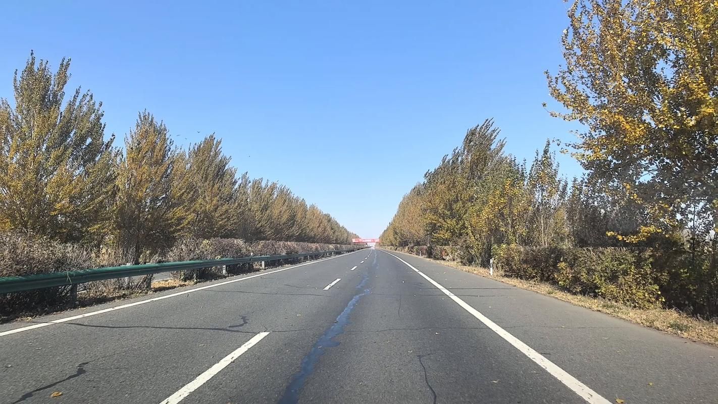 峰回路转在哪下载 最新官方下载地址分享