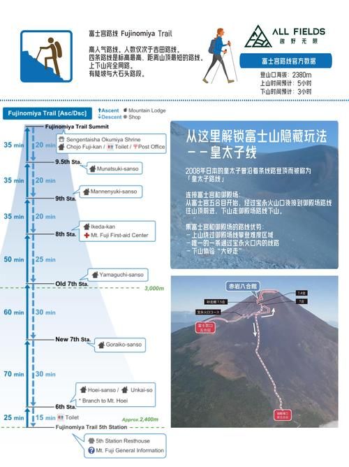 峰回路转更新地址新变动立即获取最新路径