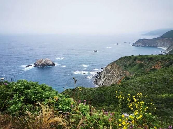 峰回路转更新地址新变动立即获取最新路径